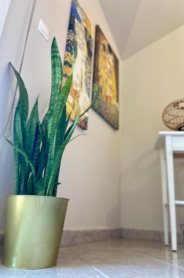 Apartmán Valeria's Argostoli (Kefalonia)